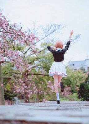菩提幽魂_蓝光全集免费播放